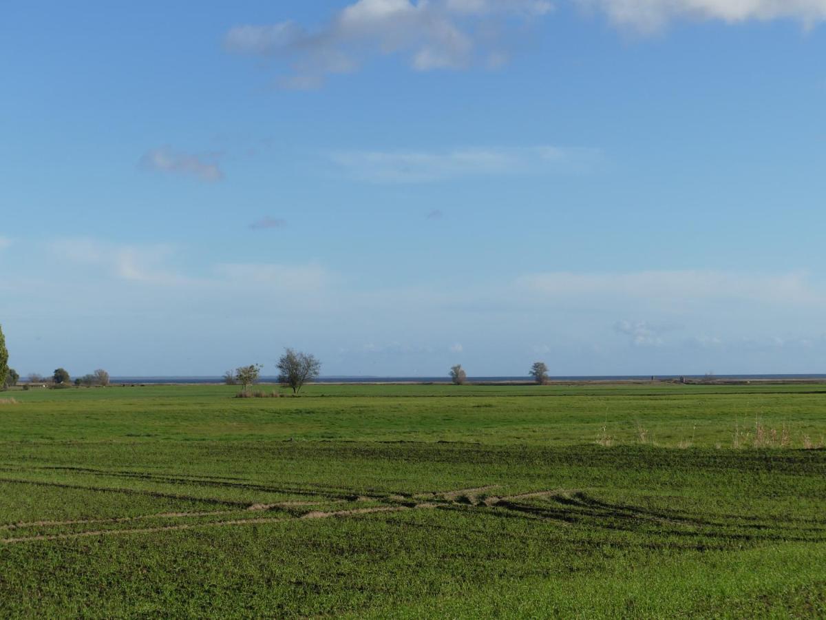 Ferienwohnung Landhaus am Haff Stolpe auf Usedom Exterior foto