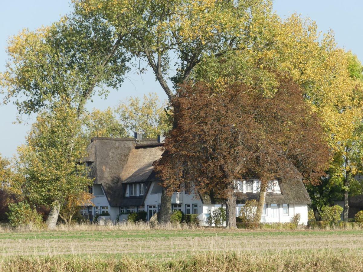 Ferienwohnung Landhaus am Haff Stolpe auf Usedom Exterior foto